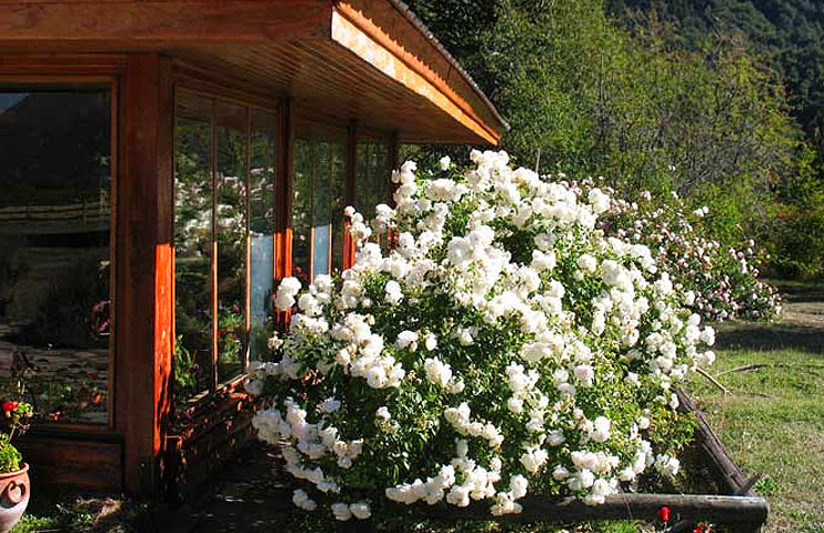 HOSTERIA HUECHULAFQUEN hosteria huechulafquen: