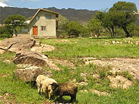 Casas Viejas - Casas de Campo - Nono