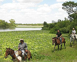 Video de Cabañas