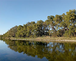 Video de Cabañas