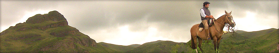 cabins in sierra de los padres