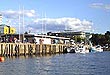 Muelle Schuster