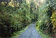 Bosque del Recuerdo