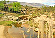 Río Paso del Negro y Arroyo Los Algarrobos