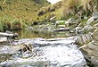 Ríos y Cascadas