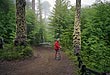 Parque Nacional Villarrica 