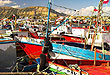 Muelle de Pescadores Artesanales